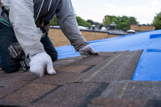 Fast & Reliable Emergency Roof Repairs in Carterville, MO
